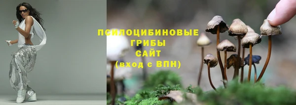 ECSTASY Абдулино