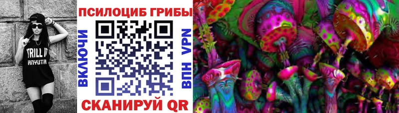 где можно купить наркотик Магнитогорск Псилоцибиновые грибы мухоморы
